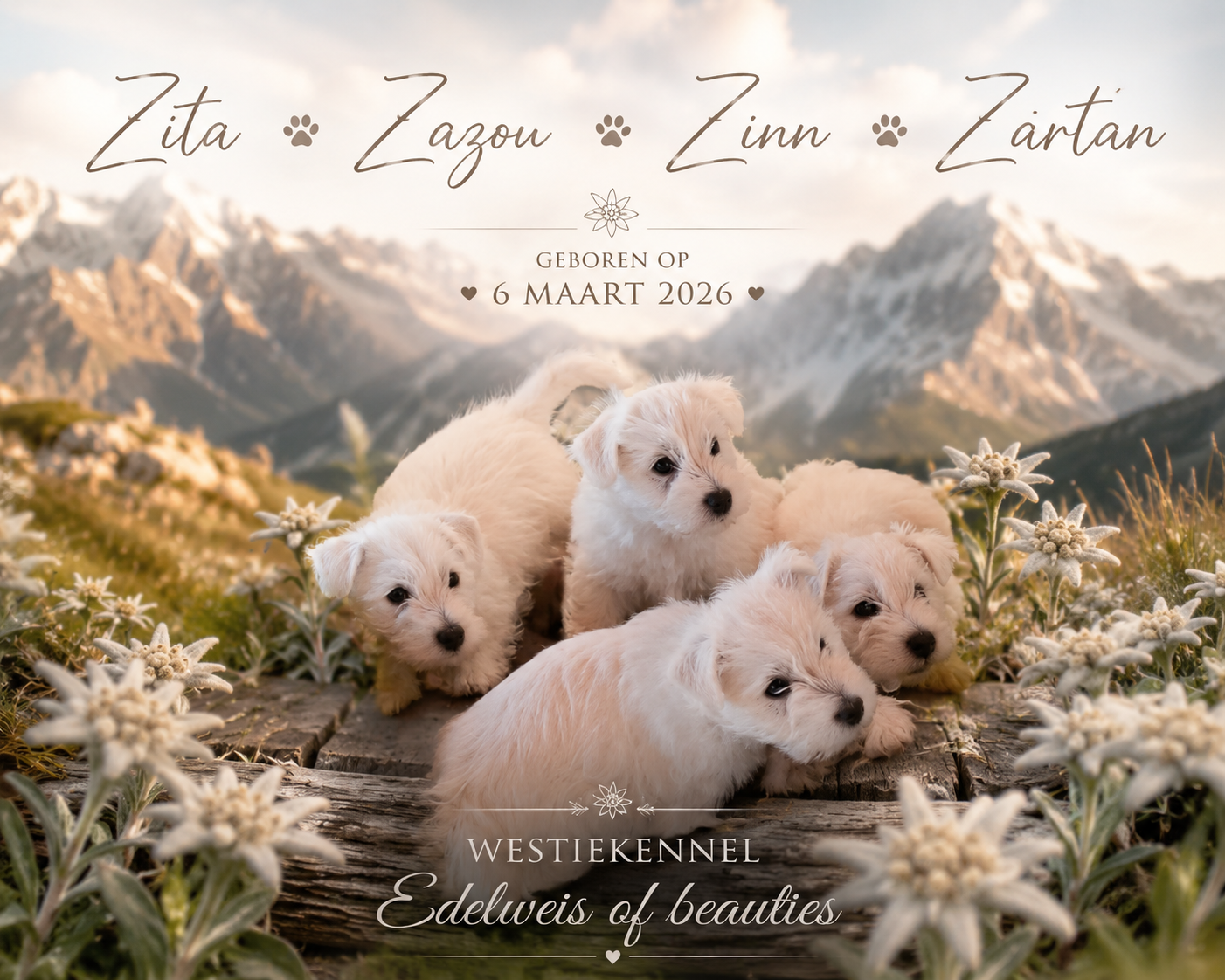 De vier pupjes van mama Luna